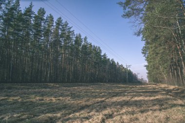 Tren rayları ve woods açık gökyüzü altında