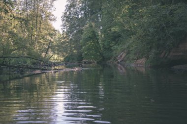 suda yaz günü nehir orman kumtaşı kayalıklarla ve kuru ağaç, Brasla Nehri, Letonya ile içine sakin