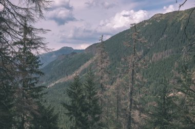 güzel Tatra Dağları ve ağaçların altında bulutlu gökyüzü, Slovakya