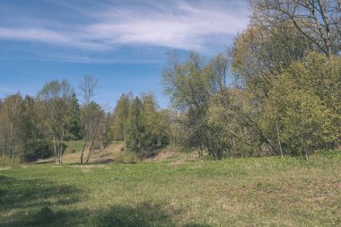 düz basit kırsal bahar yatay, taze yeşil çayır ve orman