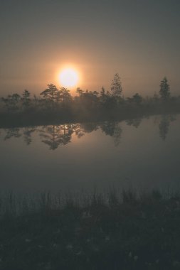 gündoğumu ile bataklık bataklık alan ağaçların su yansımaları ile siste