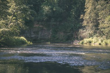 suda yaz günü nehir orman kumtaşı kayalıklarla ve kuru ağaç, Brasla Nehri, Letonya ile içine sakin