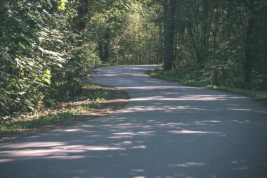 Yaz aylarında ormandaki dalgalı yol asfalt