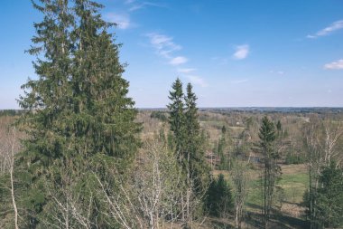düz basit kırsal bahar yatay, taze yeşil çayır ve orman