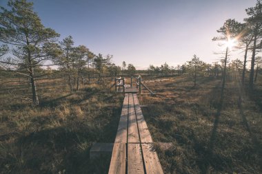 Ahşap tahta boardwalk perspektif sonbaharda bataklık bölgede