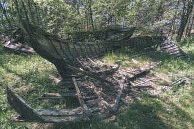 orman içinde ahşap tekne yaz aylarında terk edilmiş
