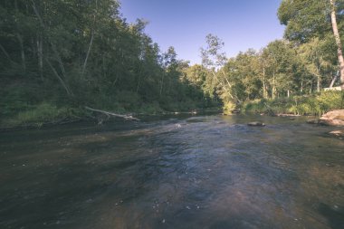 sakin nehir orman ormanlarda yaz gün içine su seviyesi
