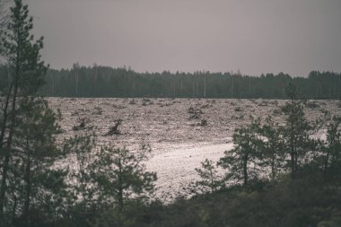 karanlık bulutlu gökyüzü altında kışın alanları kırsal manzara kar kaplı