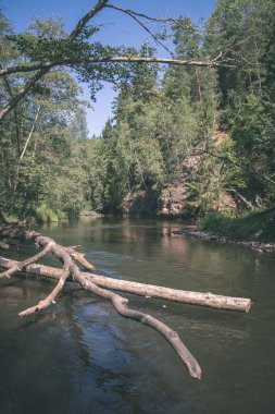 yaz günü suda kumtaşı kayalıklarla ve kuru ağaç ormanları içine Nehri sakin