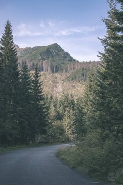 güzel Tatra Dağları ve ağaçların altında mavi gökyüzü, Slovakya