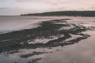 boş deniz plaj kum tepeleri ve güzel gökyüzü