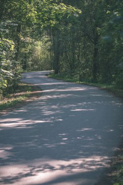 Yaz aylarında ormandaki dalgalı yol asfalt