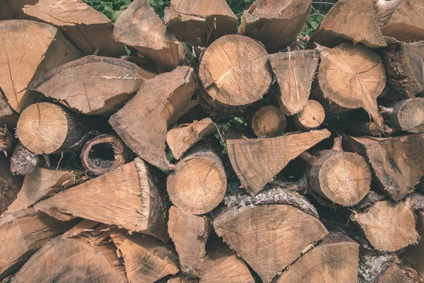 Primer Plano Troncos Árboles Secos Apilados — Foto de Stock