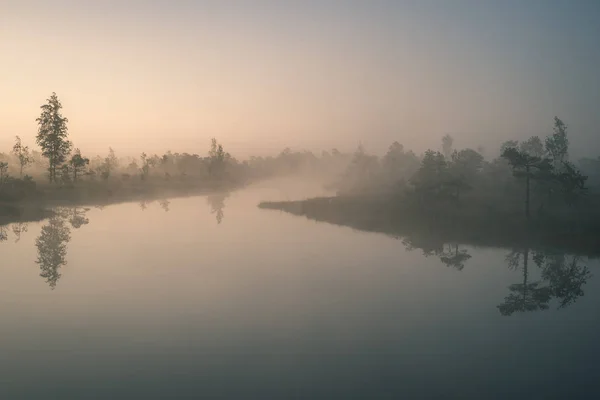 Zonsopgang Met Nevel Bog Moerasgebied Met Reflecties Van Bomen Het — Stockfoto