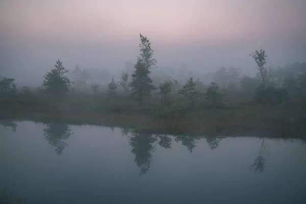 Reflecties Van Sparren Meerwater Mistige Zonsopgang Natuur — Stockfoto