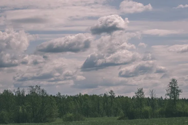 曇り空の下で森とフィールドの田舎風景 — ストック写真