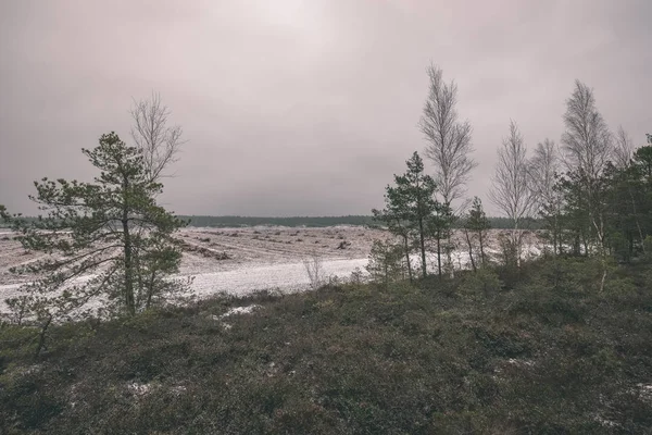 Сільський Пейзаж Засніжених Полів Взимку Під Темним Хмарним Небом — стокове фото