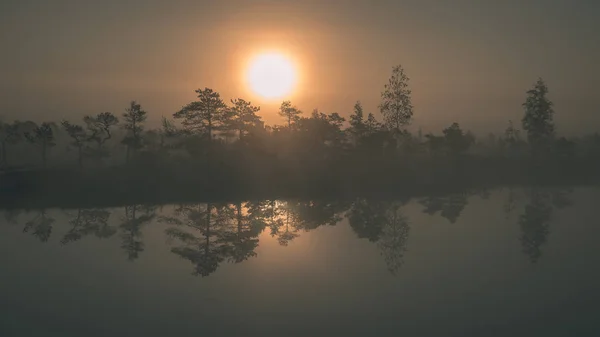 Amanecer Con Niebla Zona Pantanosa Con Reflejos Árboles Agua —  Fotos de Stock