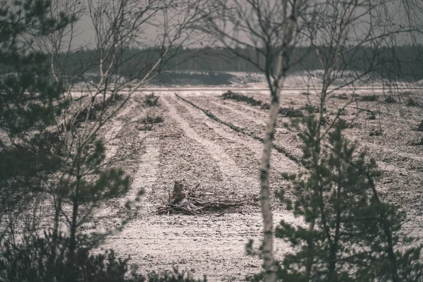 雪の田舎風景が暗い曇り空の下で冬のフィールドをカバー — ストック写真