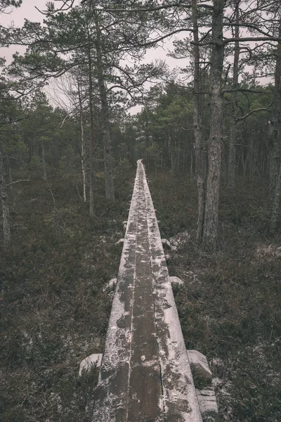 Mocsári Területen Erdőben Első Hóval Fából Készült Deszka Gyalogút Sétány — Stock Fotó