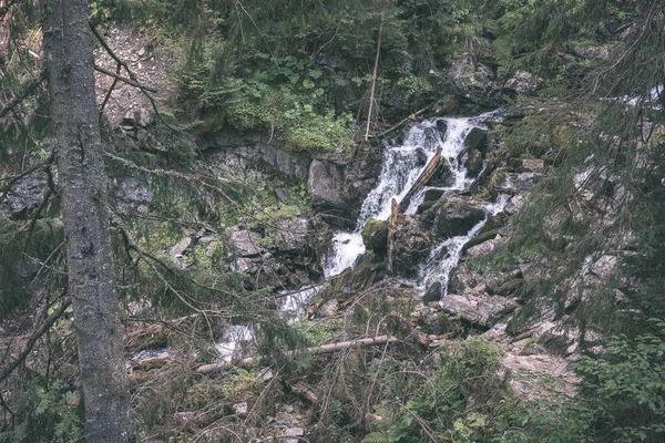 Маленький Водоспад Скелястому Схилі Лісі — стокове фото