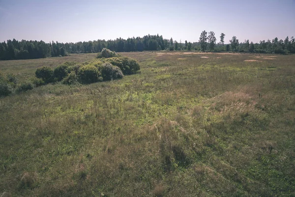 Countryside Krajobraz Pól Lasów Pod Błękitne Niebo Latem — Zdjęcie stockowe