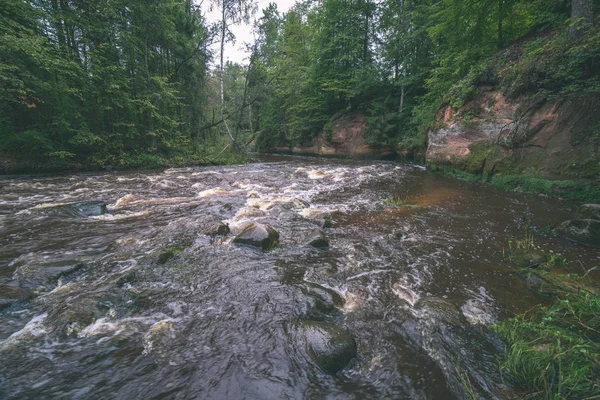 Быстрая Река Зеленом Лесу Амата Латвии — стоковое фото