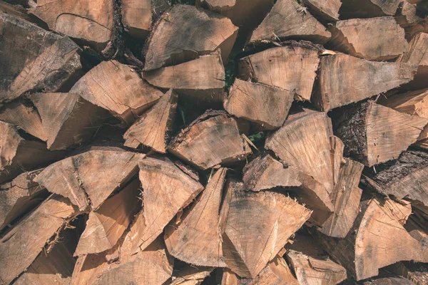 Primer Plano Troncos Árboles Secos Apilados — Foto de Stock