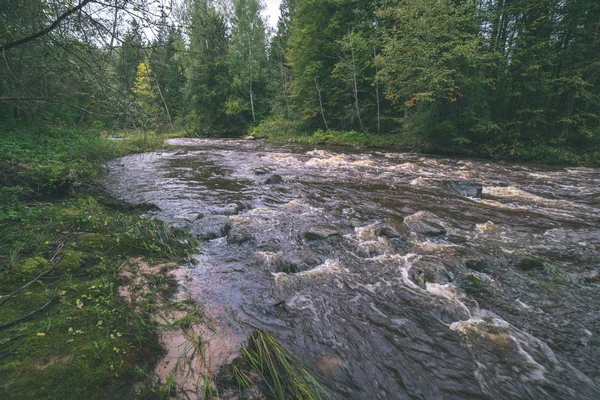 Быстрая Река Зеленом Лесу Амата Латвии — стоковое фото