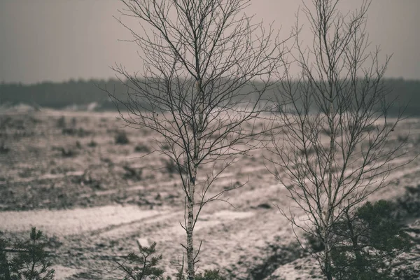 Countryside Krajobraz Śniegu Objętych Pola Zimie Pod Ciemne Niebo Pochmurne — Zdjęcie stockowe