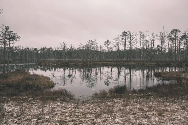 Lago Tranquilo Bosque Las Costas Previsión — Foto de Stock