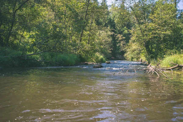 Καλοκαιρινή Μέρα Για Νερό Στην Ήρεμη Ποταμού Περικλείεται Δάση Βράχους — Φωτογραφία Αρχείου