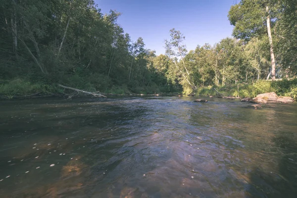 Water Calm River Enclosed Forests Forest Summer Day — Stock Photo, Image