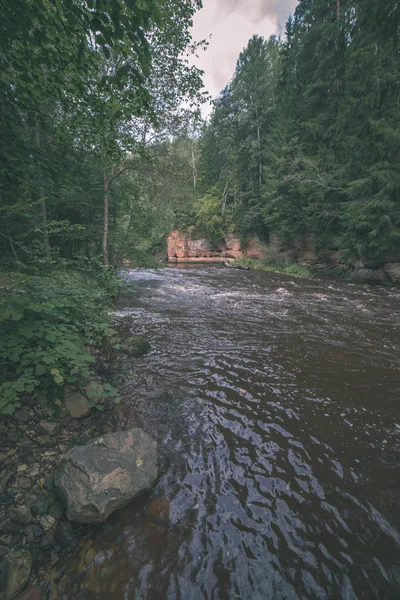 Rápido Río Amata Bosque Verde Amata Letonia —  Fotos de Stock