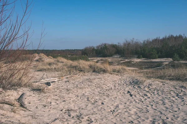 Empty Sea Beach Sand Dunes Beautiful Sky — Stock Photo, Image