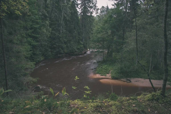 Fast Amata Rivière Dans Forêt Verte Été Lettonie — Photo