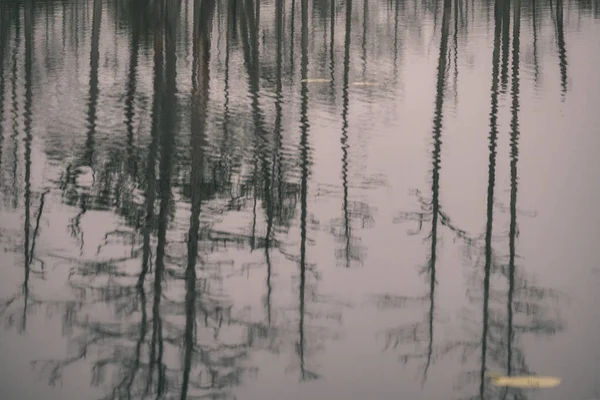 Refleksje Drzew Spokojne Wody Jeziora Lesie — Zdjęcie stockowe