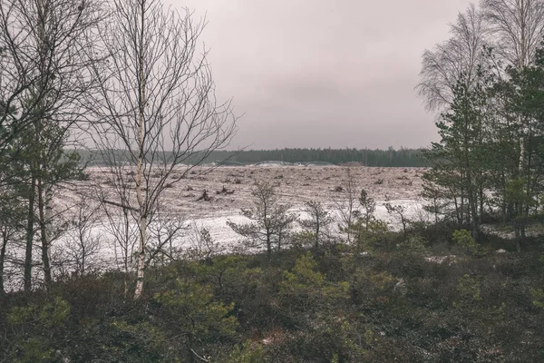 Gröna Landskapet Snö Täckt Fält Vintern Mörka Molnig Himmel — Stockfoto