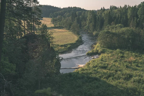 拉脱维亚阿马塔河中的水流 夏季有绿叶 — 图库照片