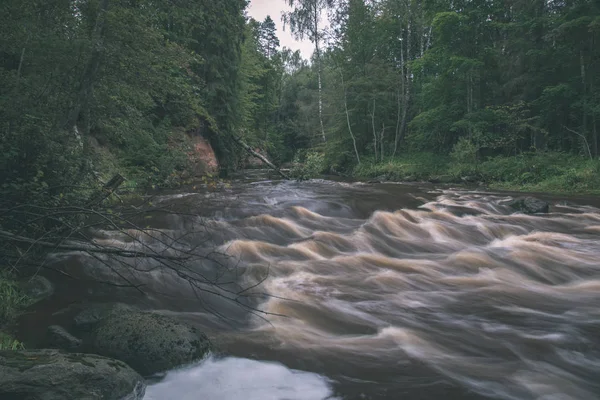 Rychlý Amata Řeka Zelené Letní Forest Lotyšsko — Stock fotografie