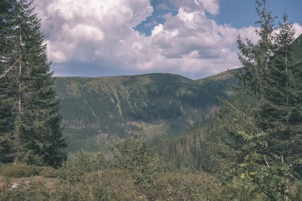 Piękna Tatr Lasy Pod Zachmurzonym Niebie Słowacja — Zdjęcie stockowe