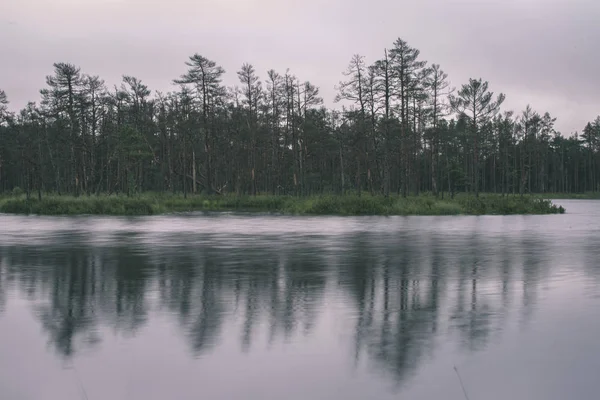 Paisaje Pantanoso Con Reflejos Árbol Agua Nublada —  Fotos de Stock