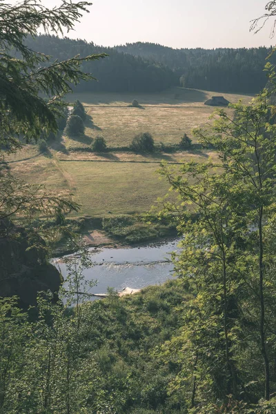 Потік Води Річки Amata Латвії Зелене Листя Влітку — стокове фото