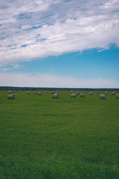 Rollos Heno Campo Verde Bajo Cielo Nublado Campo Letonia —  Fotos de Stock