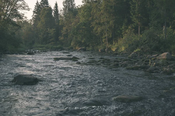 拉脱维亚阿马塔河中的水流 夏季有绿叶 — 图库照片