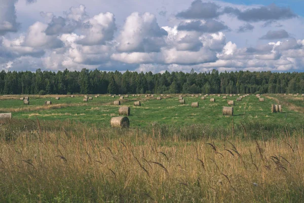 Rullar Fältet Blå Himmel Landsbygd Landskap Lettland — Stockfoto