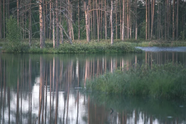 Reflejos Árboles Aguas Tranquilas Del Lago Atardecer — Foto de Stock