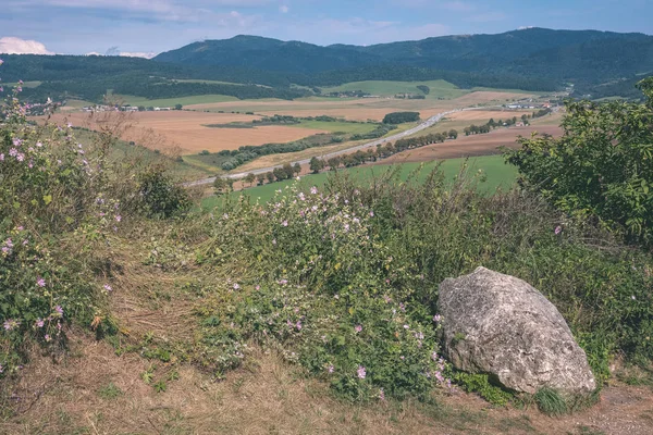 背景に山と大まかな岩緑夏自然 — ストック写真