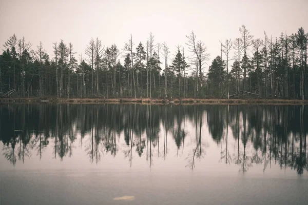 湖の穏やかな水の木の反射 — ストック写真
