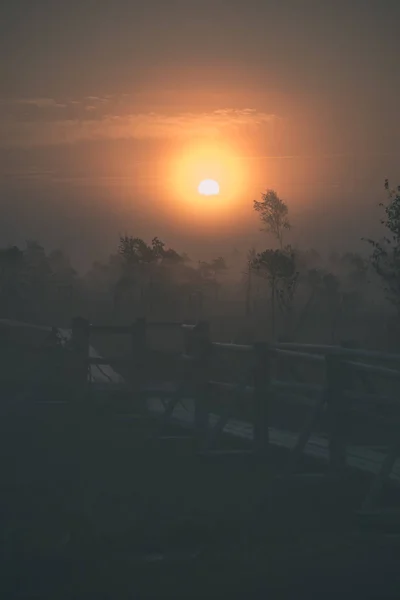 Dimmiga Träsket Mosse Område Ljusa Sunrise — Stockfoto